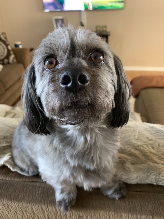 LIKE TO BE NOTIFIED WHEN I POPUP/GO LIVE! - Picture 16 of 16